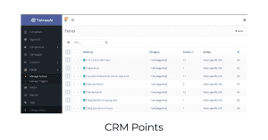 CRM Points