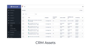 CRM Assets